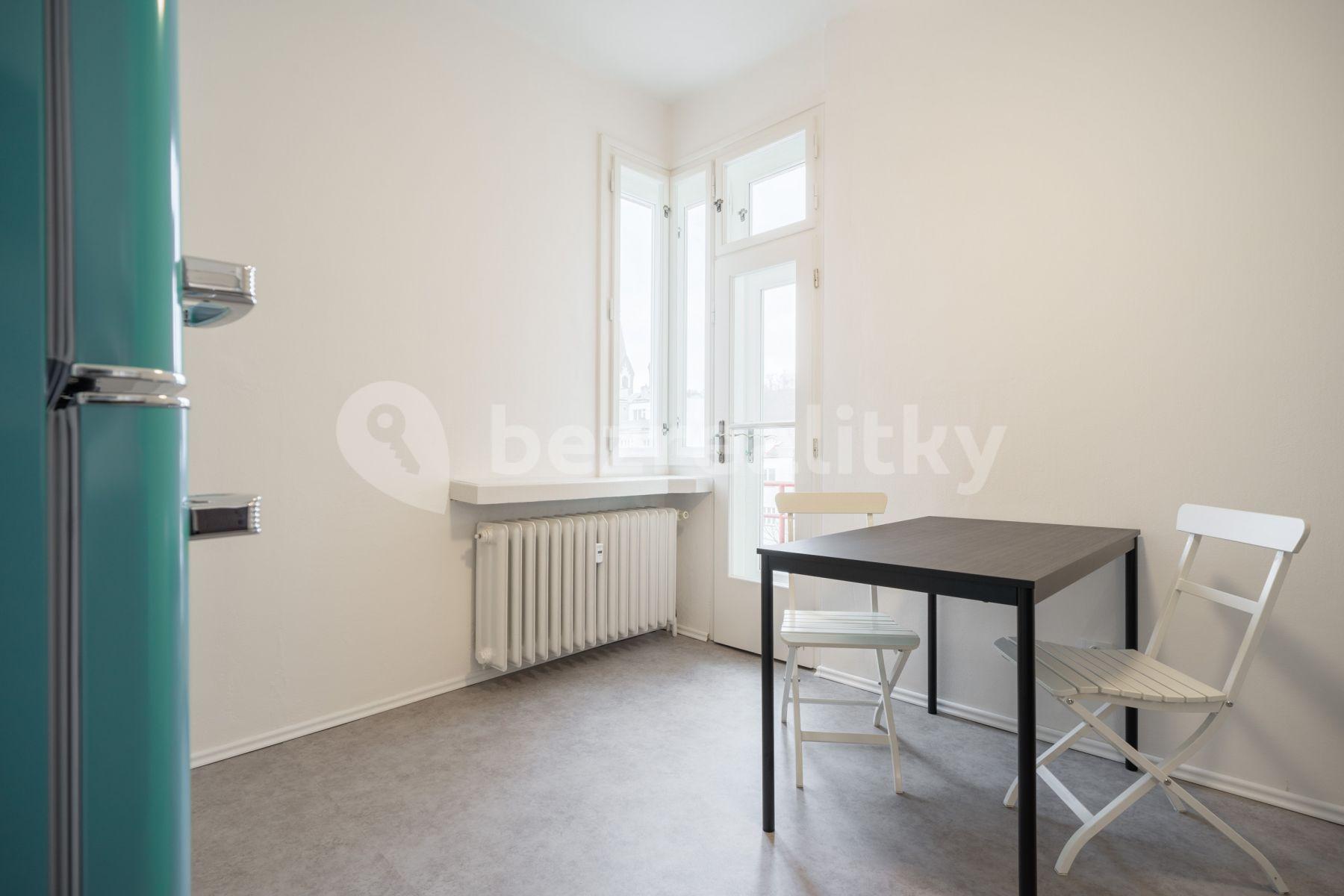 1 bedroom with open-plan kitchen flat to rent, 47 m², Vítkova, Prague, Prague