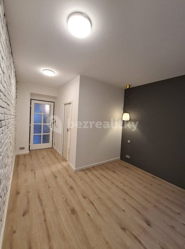 1 bedroom with open-plan kitchen flat to rent, 50 m², Kladenská, Prague, Prague