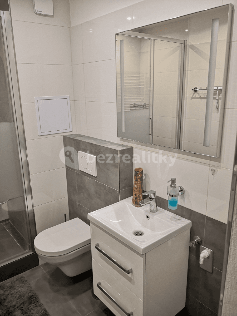 1 bedroom with open-plan kitchen flat to rent, 37 m², Molákova, Prague, Prague