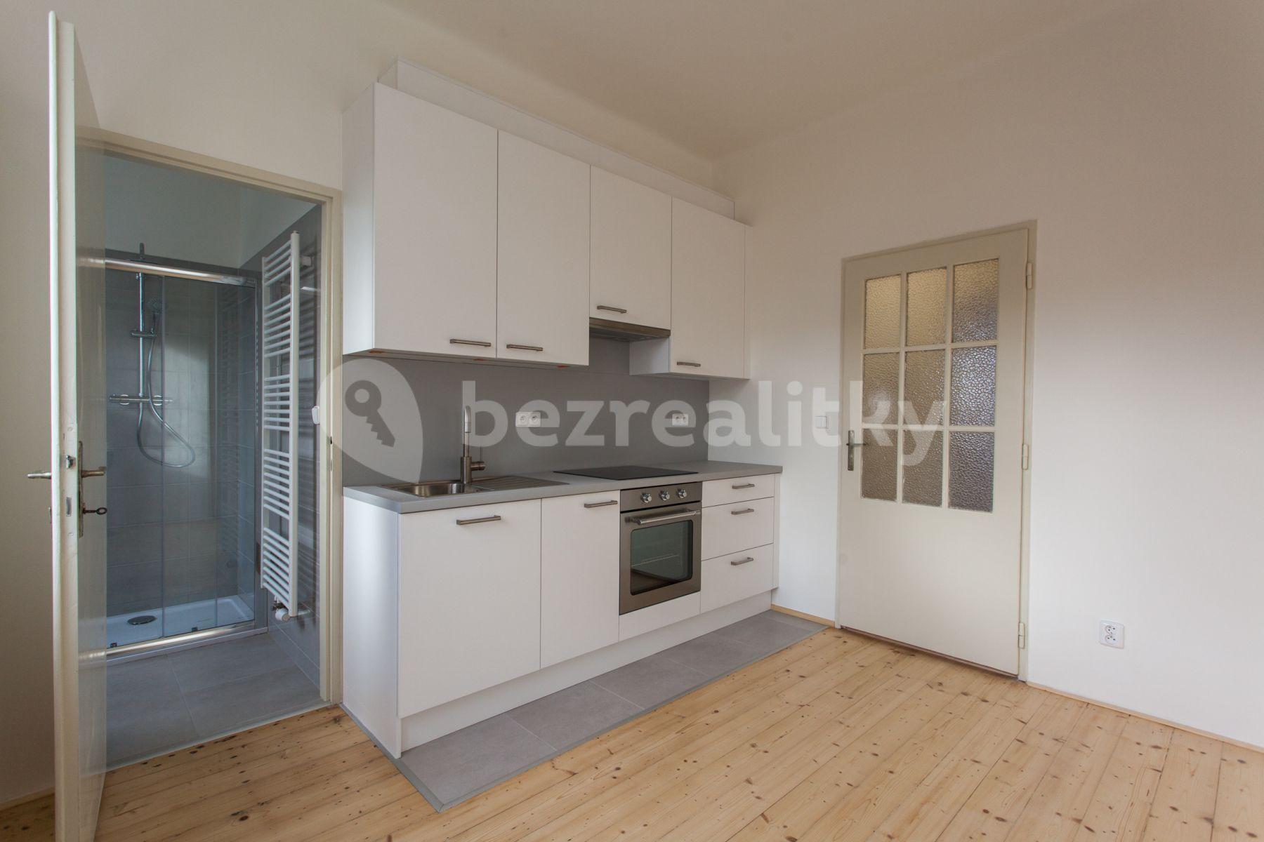 1 bedroom with open-plan kitchen flat to rent, 45 m², Na Vrstvách, Prague, Prague