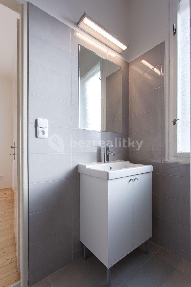 1 bedroom with open-plan kitchen flat to rent, 45 m², Na Vrstvách, Prague, Prague