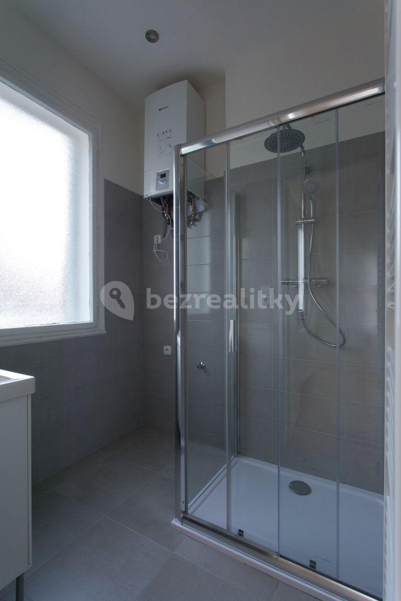 1 bedroom with open-plan kitchen flat to rent, 45 m², Na Vrstvách, Prague, Prague