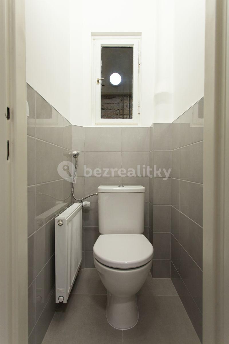 1 bedroom with open-plan kitchen flat to rent, 45 m², Na Vrstvách, Prague, Prague