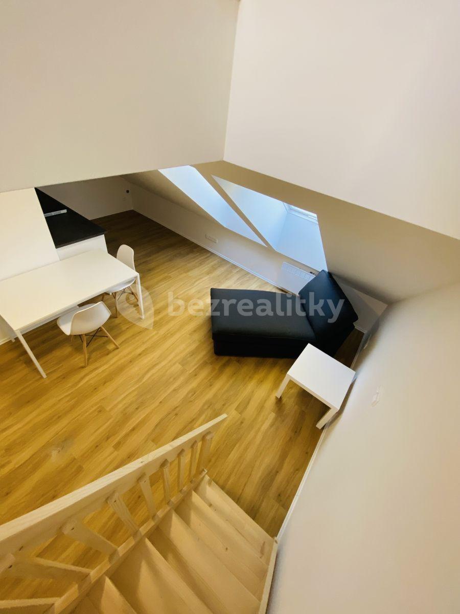 1 bedroom with open-plan kitchen flat to rent, 62 m², Karlínské náměstí, Prague, Prague