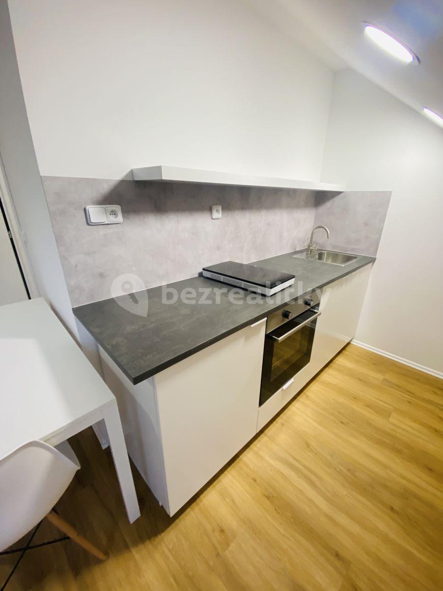 1 bedroom with open-plan kitchen flat to rent, 62 m², Karlínské náměstí, Prague, Prague