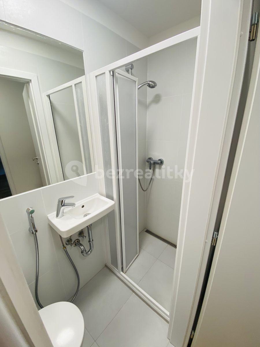 1 bedroom with open-plan kitchen flat to rent, 62 m², Karlínské náměstí, Prague, Prague