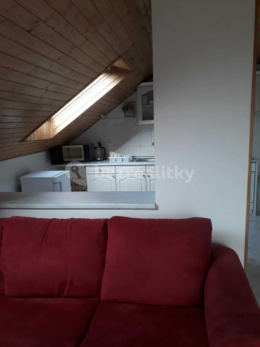 2 bedroom with open-plan kitchen flat to rent, 75 m², Rakovnická, Prague, Prague