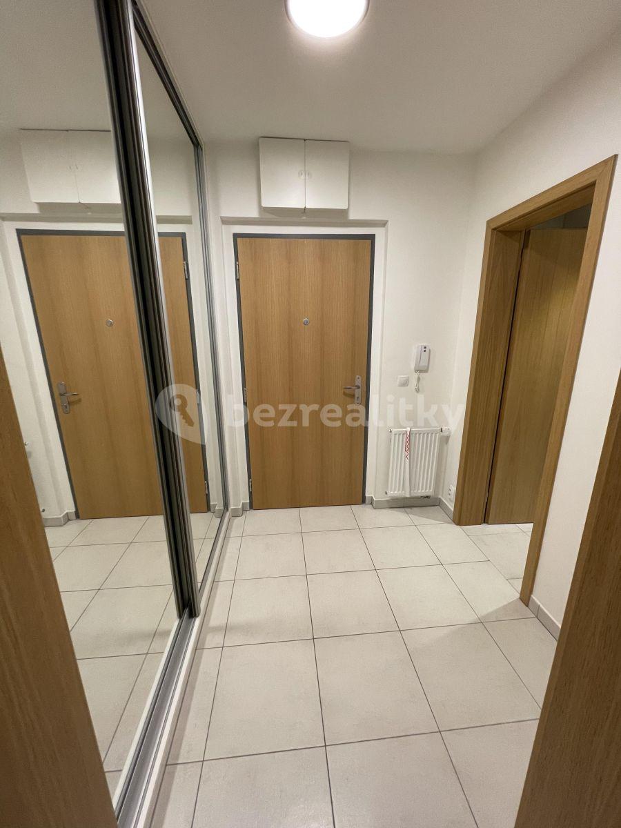 1 bedroom with open-plan kitchen flat to rent, 55 m², Kakosova, Prague, Prague