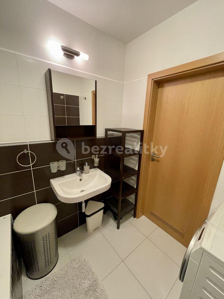 1 bedroom with open-plan kitchen flat to rent, 60 m², V Zářezu, Prague, Prague