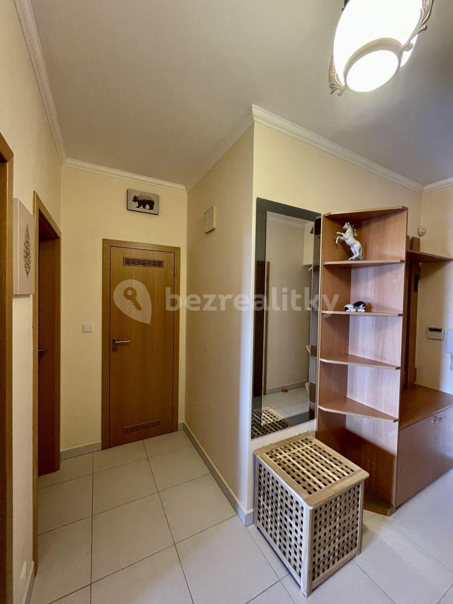 1 bedroom with open-plan kitchen flat to rent, 60 m², V Zářezu, Prague, Prague