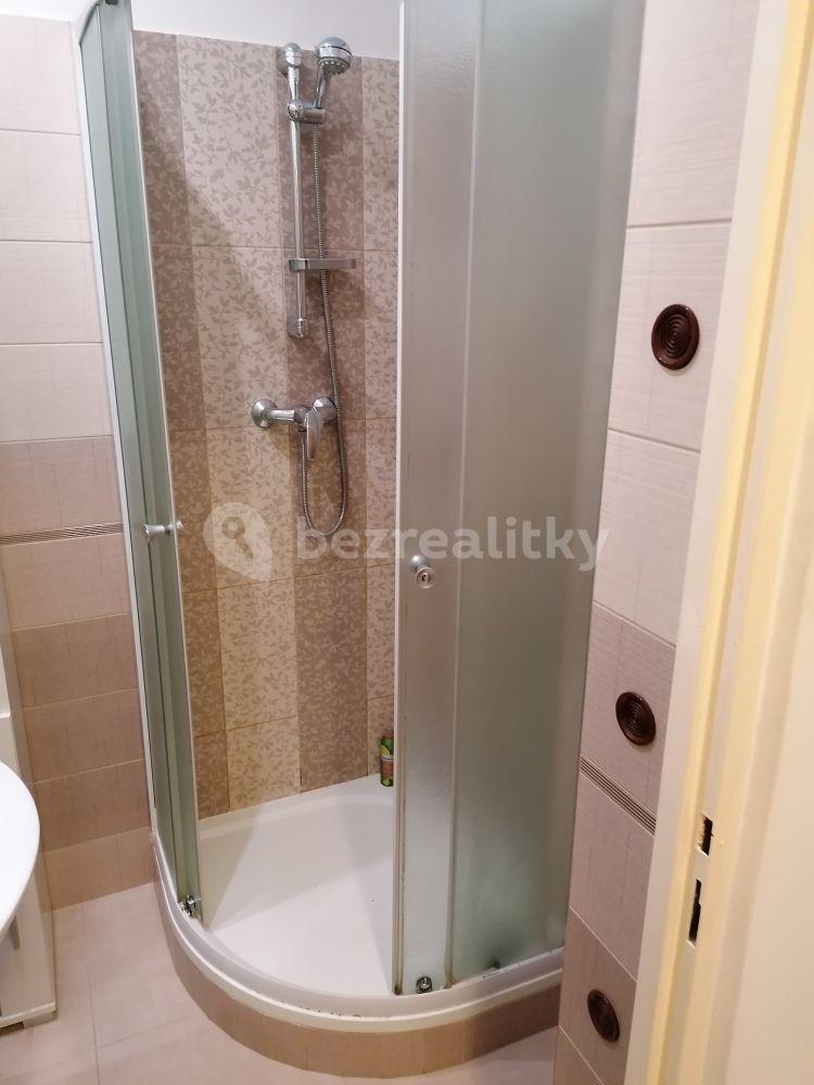 1 bedroom with open-plan kitchen flat to rent, 53 m², Duchcovská, Teplice, Ústecký Region