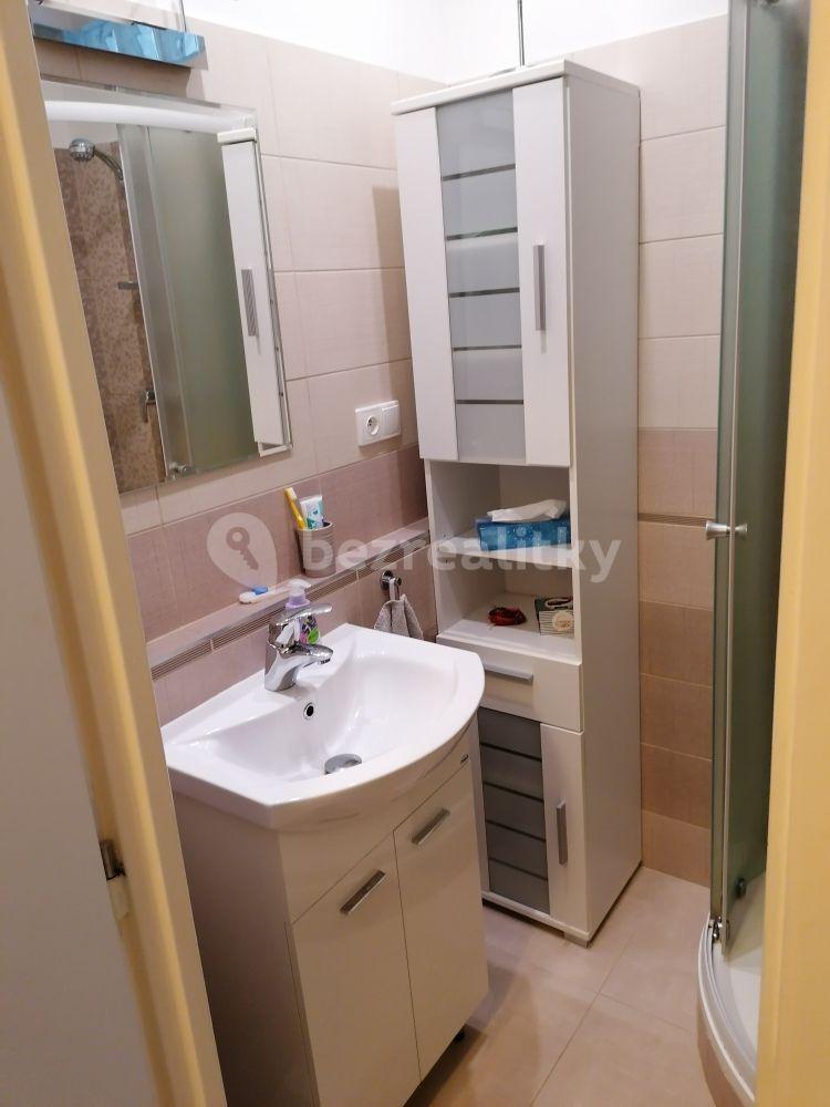 1 bedroom with open-plan kitchen flat to rent, 53 m², Duchcovská, Teplice, Ústecký Region