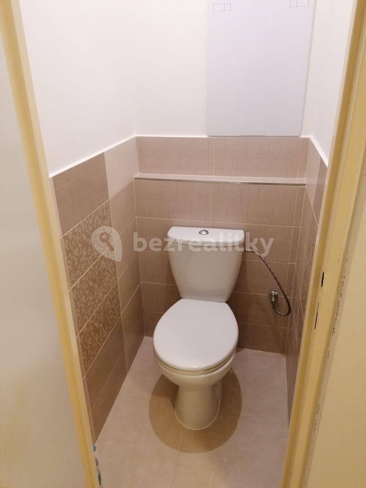 1 bedroom with open-plan kitchen flat to rent, 53 m², Duchcovská, Teplice, Ústecký Region