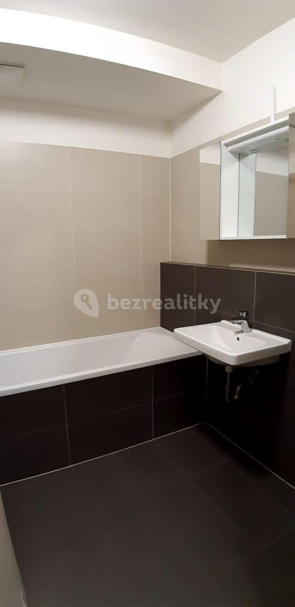 1 bedroom with open-plan kitchen flat to rent, 60 m², Miroslava Hajna, Prague, Prague