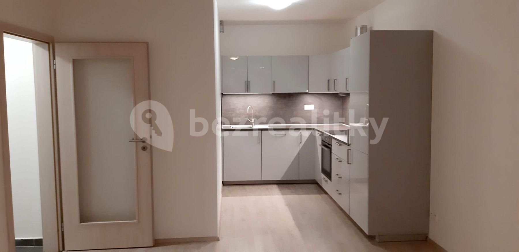 1 bedroom with open-plan kitchen flat to rent, 60 m², Miroslava Hajna, Prague, Prague