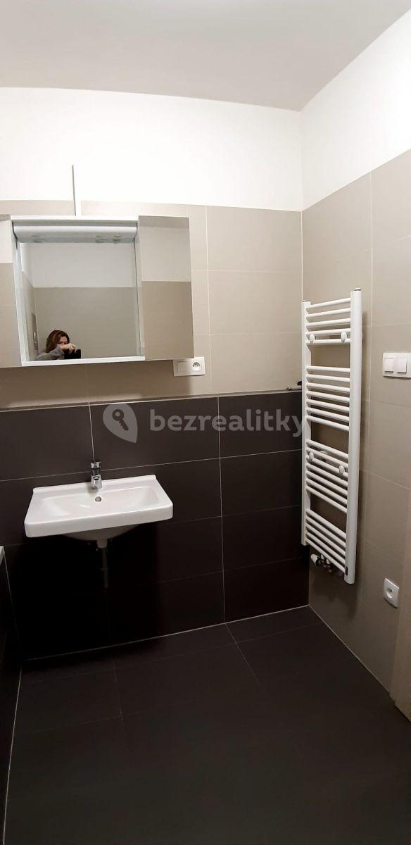 1 bedroom with open-plan kitchen flat to rent, 60 m², Miroslava Hajna, Prague, Prague