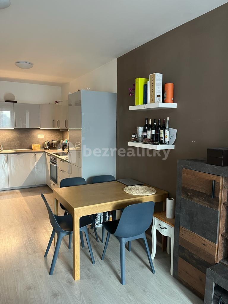 1 bedroom with open-plan kitchen flat to rent, 60 m², Miroslava Hajna, Prague, Prague