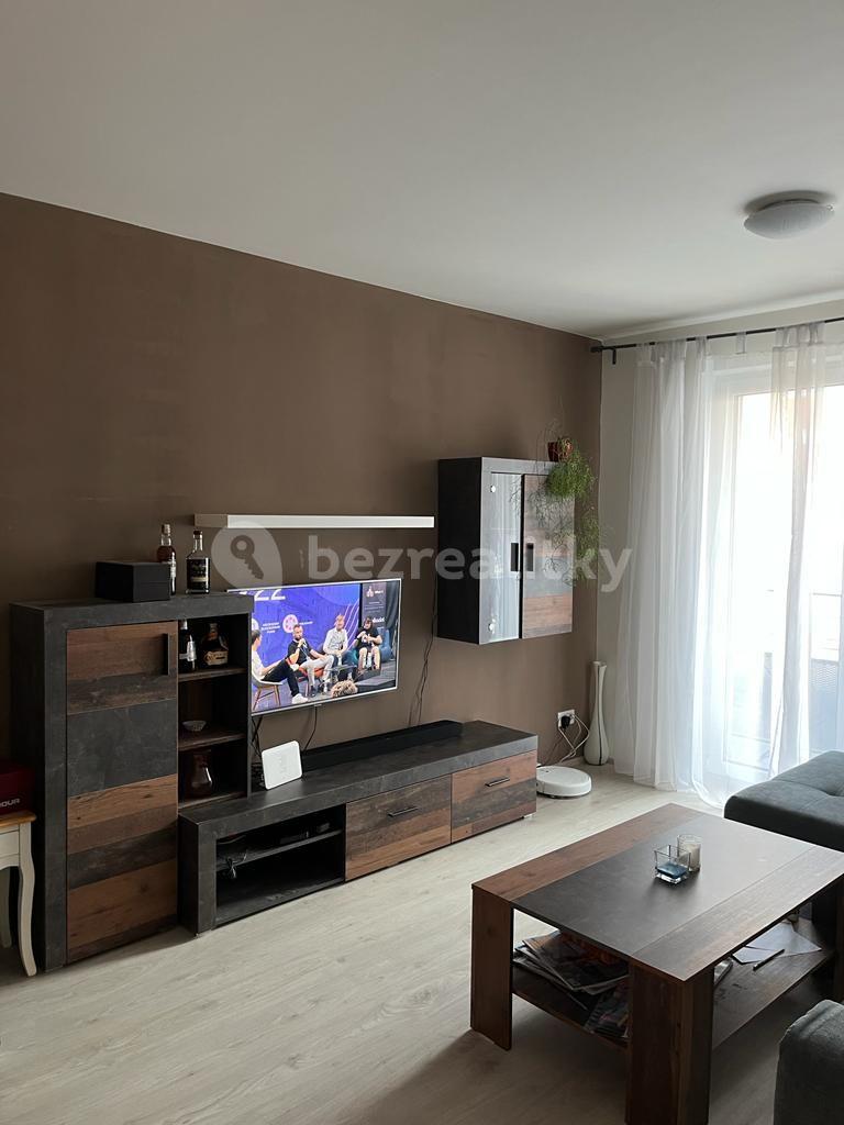 1 bedroom with open-plan kitchen flat to rent, 60 m², Miroslava Hajna, Prague, Prague