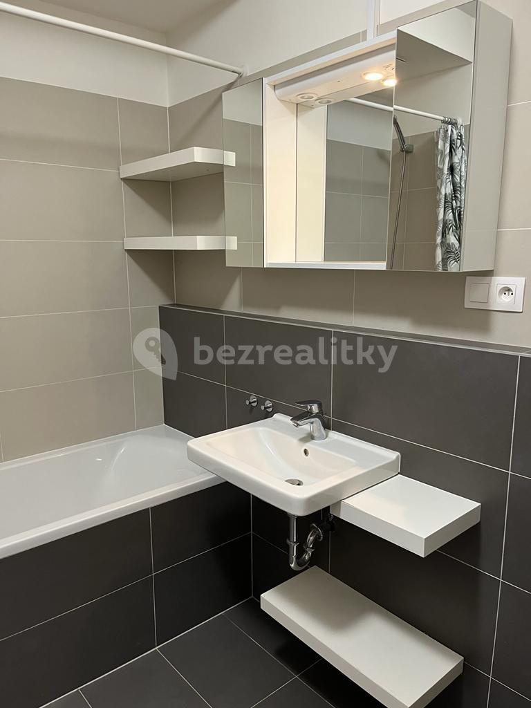 1 bedroom with open-plan kitchen flat to rent, 60 m², Miroslava Hajna, Prague, Prague