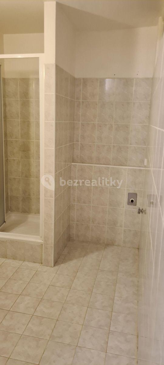 Studio flat to rent, 30 m², Ohradní, Prague, Prague