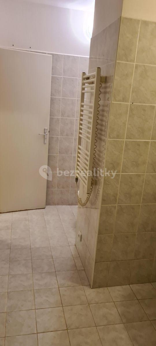 Studio flat to rent, 30 m², Ohradní, Prague, Prague