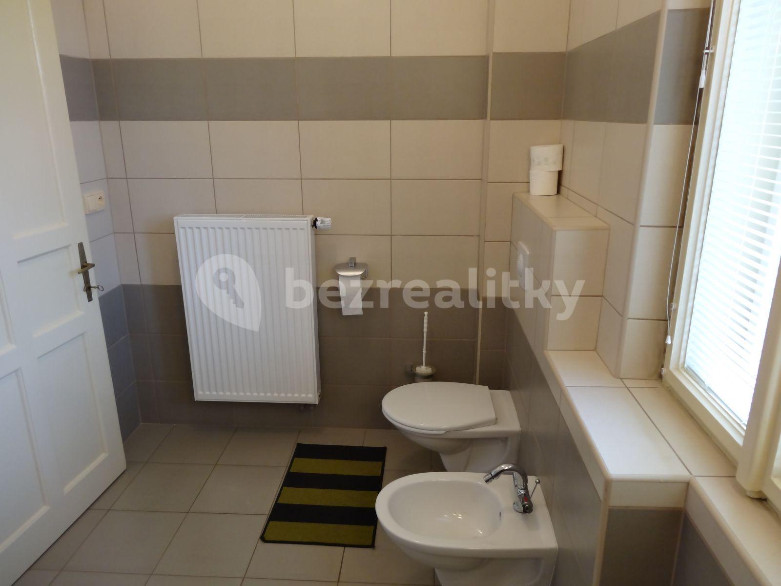 1 bedroom flat to rent, 46 m², Fügnerova, Poděbrady, Středočeský Region