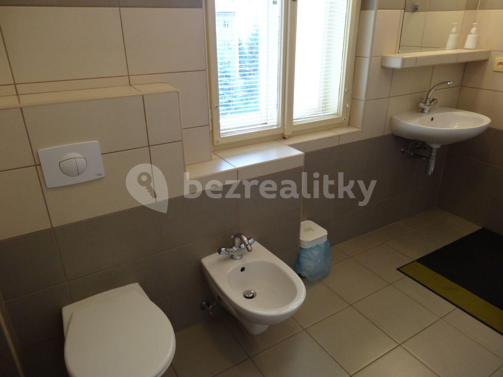 1 bedroom flat to rent, 46 m², Fügnerova, Poděbrady, Středočeský Region