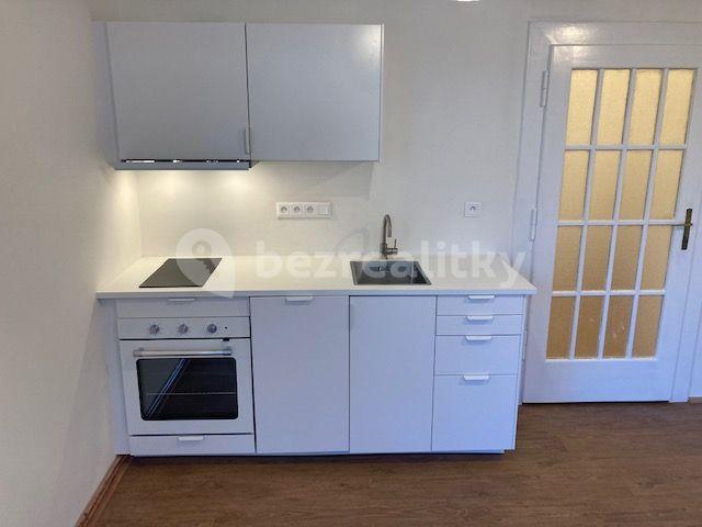 1 bedroom with open-plan kitchen flat to rent, 50 m², Na Střelnici, Prague, Prague