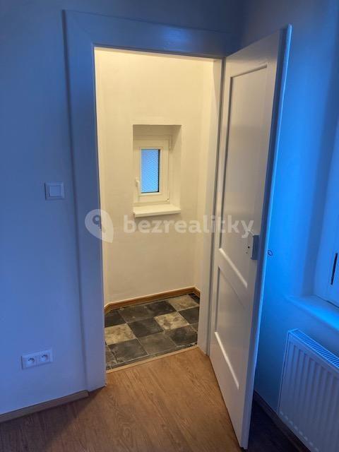 1 bedroom with open-plan kitchen flat to rent, 50 m², Na Střelnici, Prague, Prague