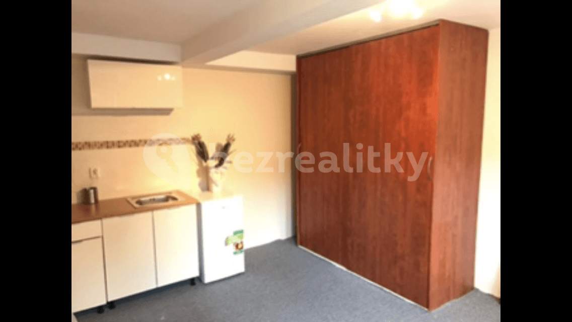 Small studio flat to rent, 16 m², K Ovčínu, Prague, Prague