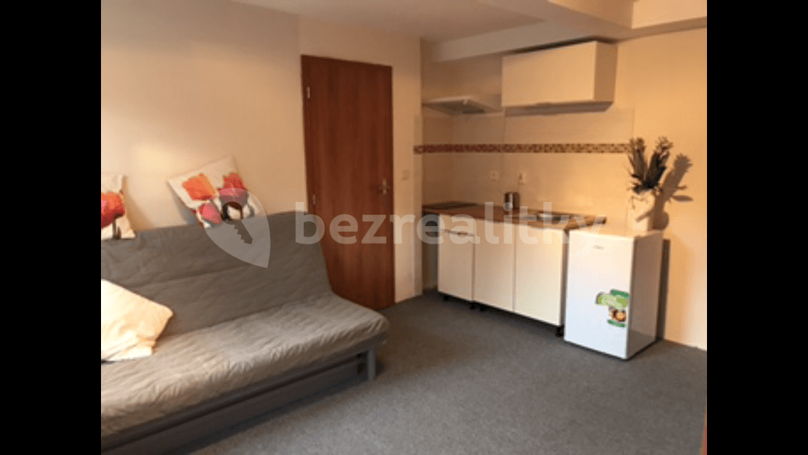 Small studio flat to rent, 16 m², K Ovčínu, Prague, Prague