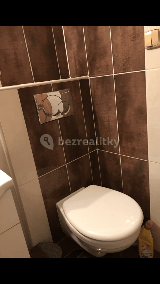 Small studio flat to rent, 16 m², K Ovčínu, Prague, Prague