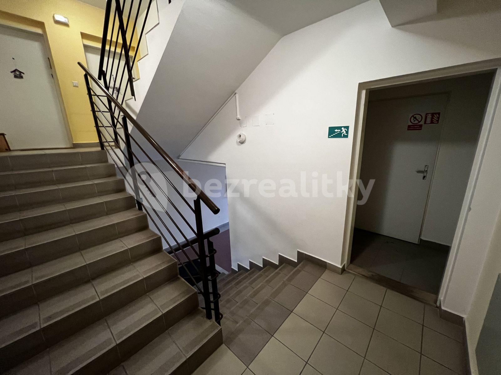 Studio flat to rent, 65 m², Žlutá, Brno, Jihomoravský Region