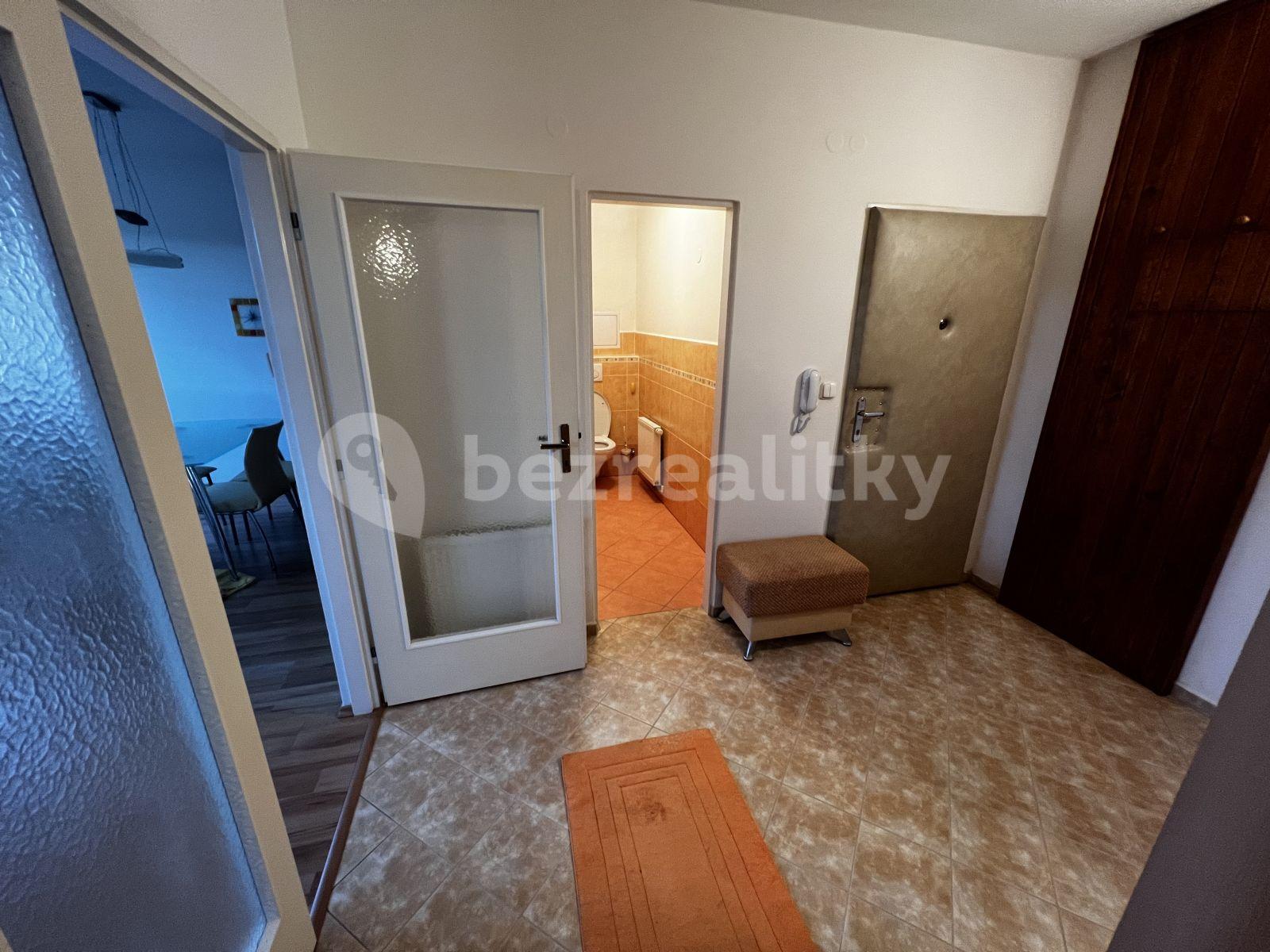 Studio flat to rent, 65 m², Žlutá, Brno, Jihomoravský Region