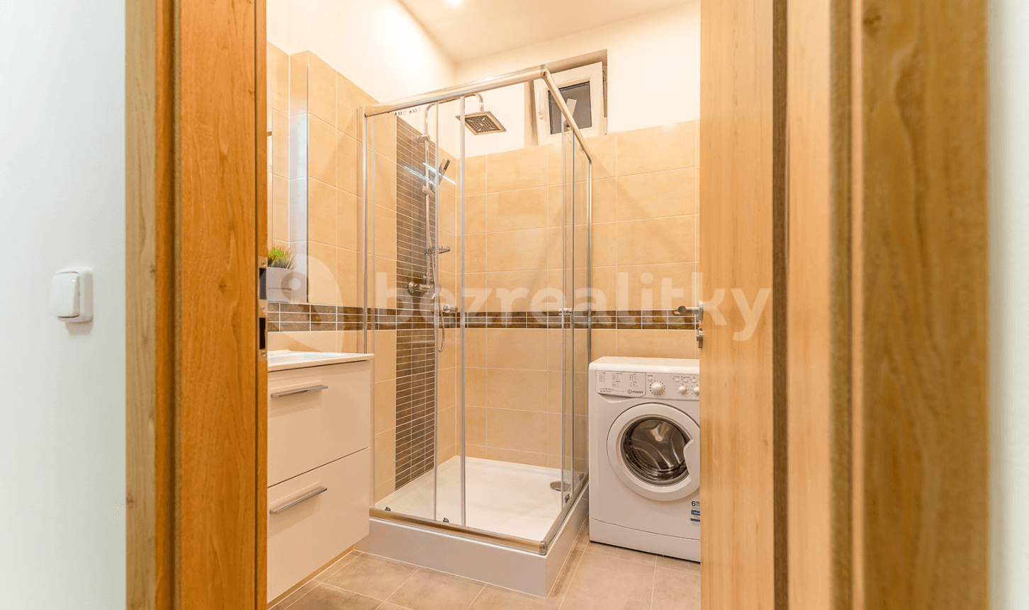 1 bedroom with open-plan kitchen flat to rent, 53 m², Lucemburská, Prague, Prague