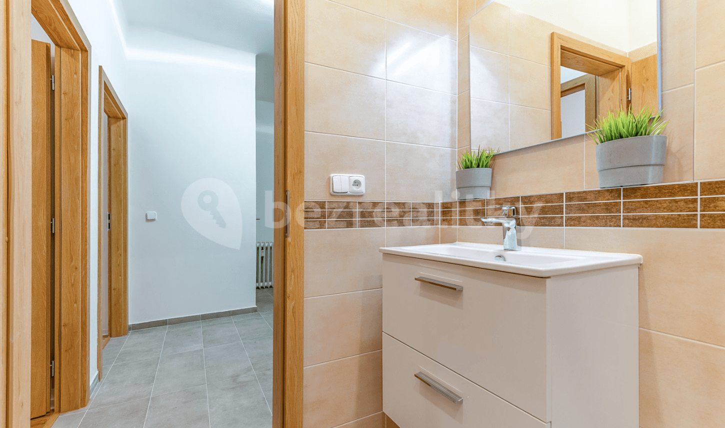 1 bedroom with open-plan kitchen flat to rent, 53 m², Lucemburská, Prague, Prague