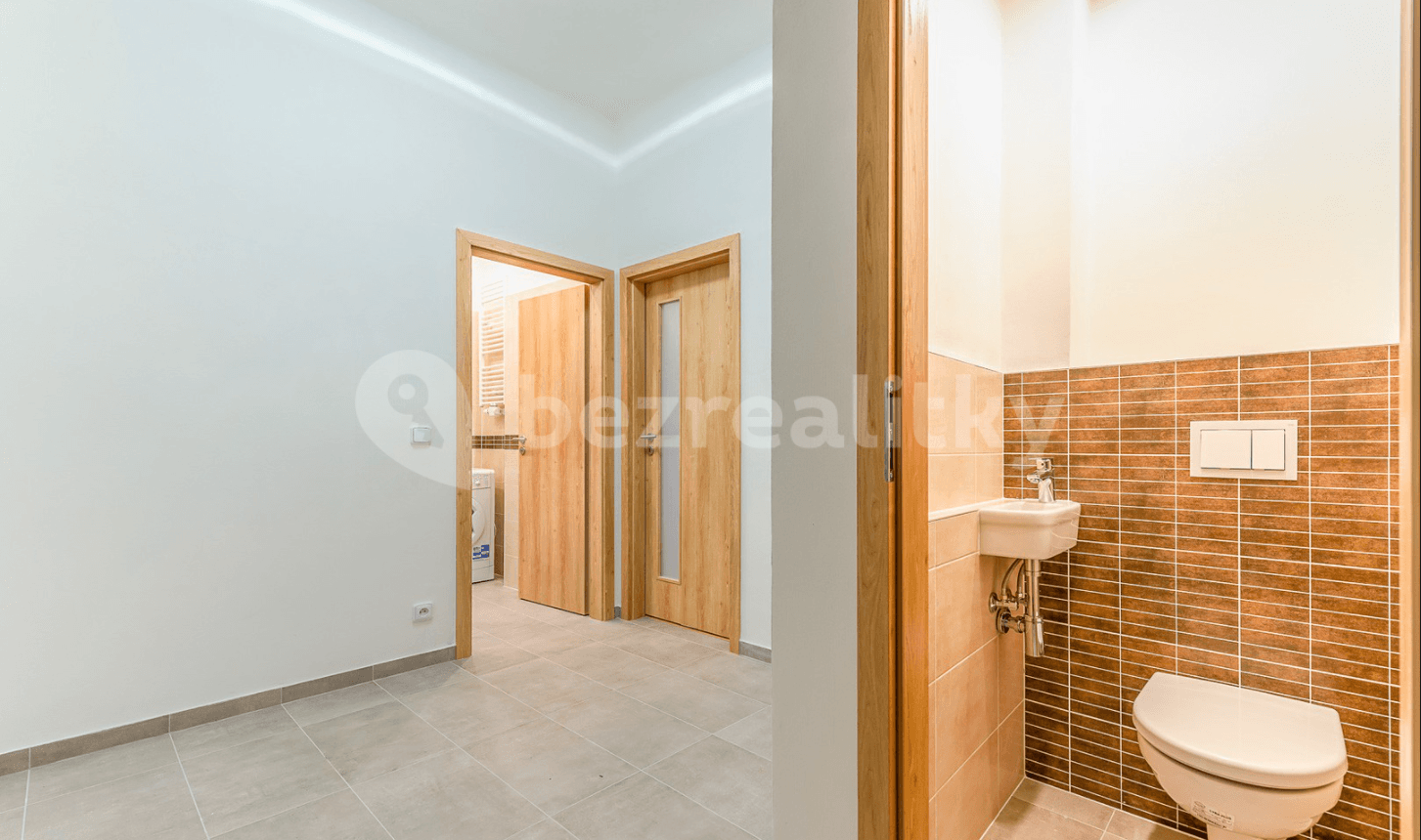 1 bedroom with open-plan kitchen flat to rent, 53 m², Lucemburská, Prague, Prague