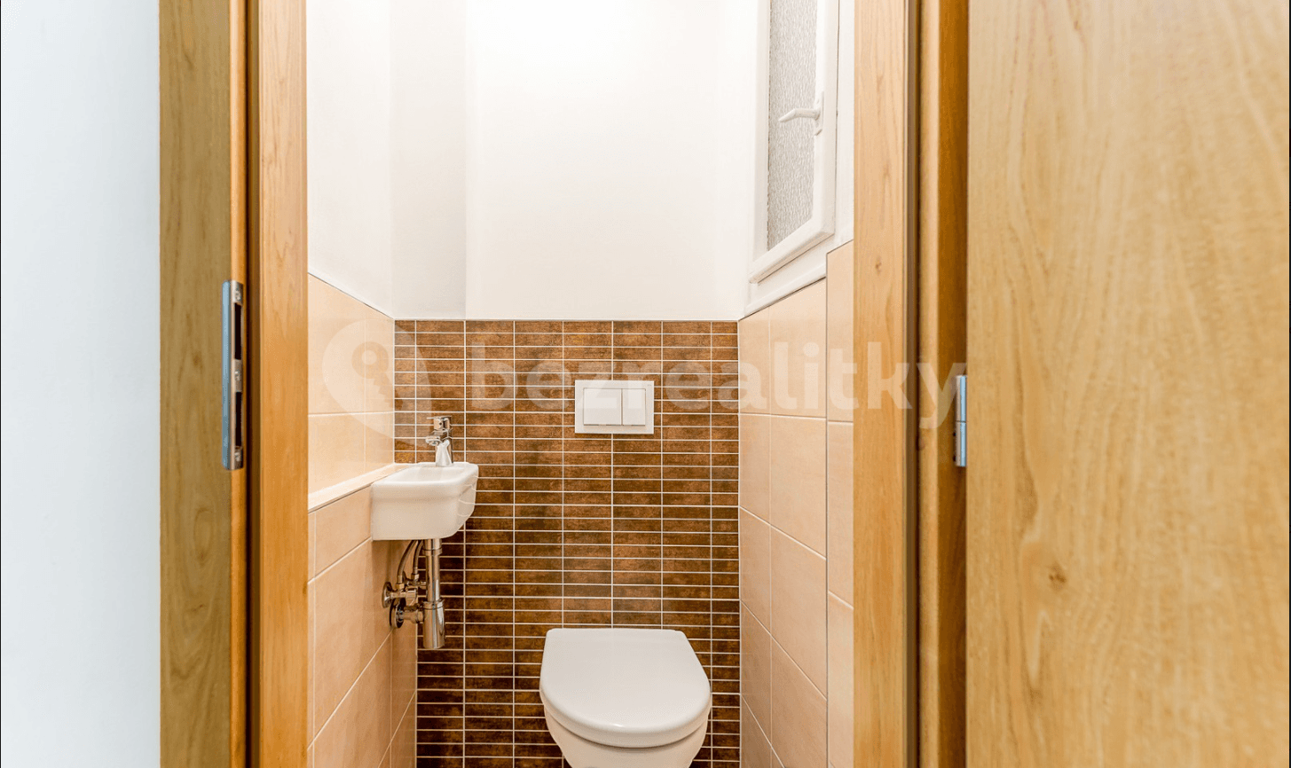 1 bedroom with open-plan kitchen flat to rent, 53 m², Lucemburská, Prague, Prague