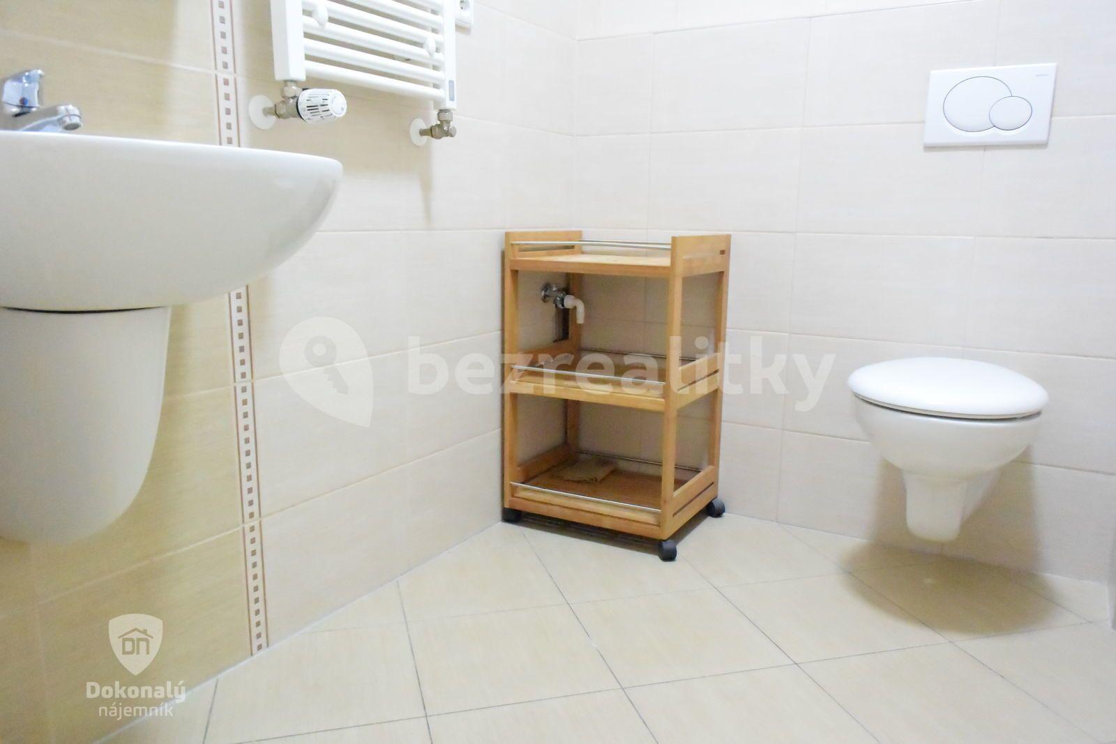 1 bedroom with open-plan kitchen flat to rent, 51 m², Chlebovická, Prague, Prague