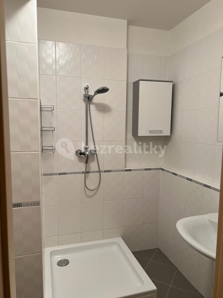 2 bedroom with open-plan kitchen flat for sale, 94 m², Nad Okrouhlíkem, Prague, Prague