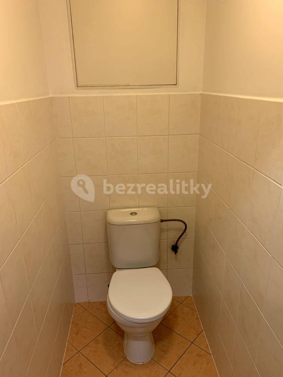 1 bedroom with open-plan kitchen flat to rent, 48 m², Budapešťská, Prague, Prague