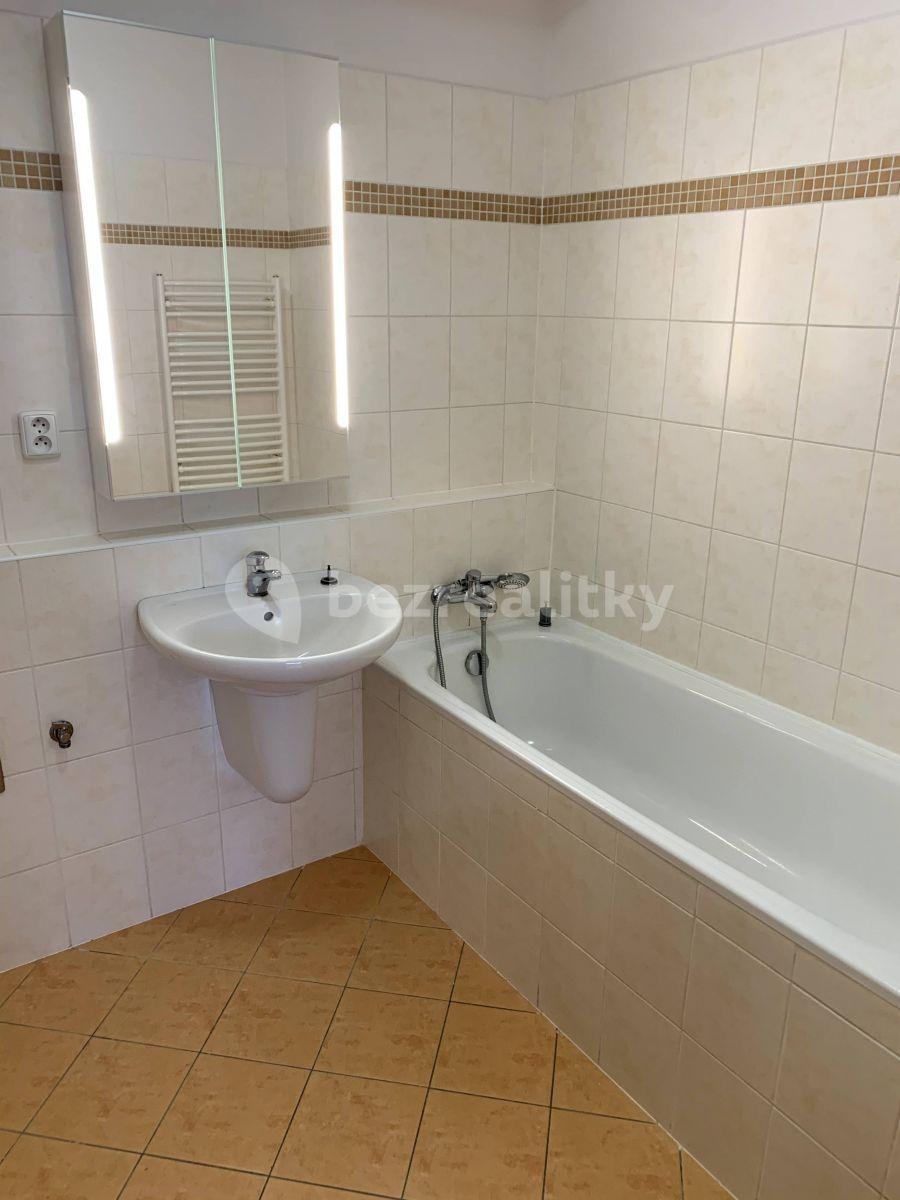 1 bedroom with open-plan kitchen flat to rent, 48 m², Budapešťská, Prague, Prague