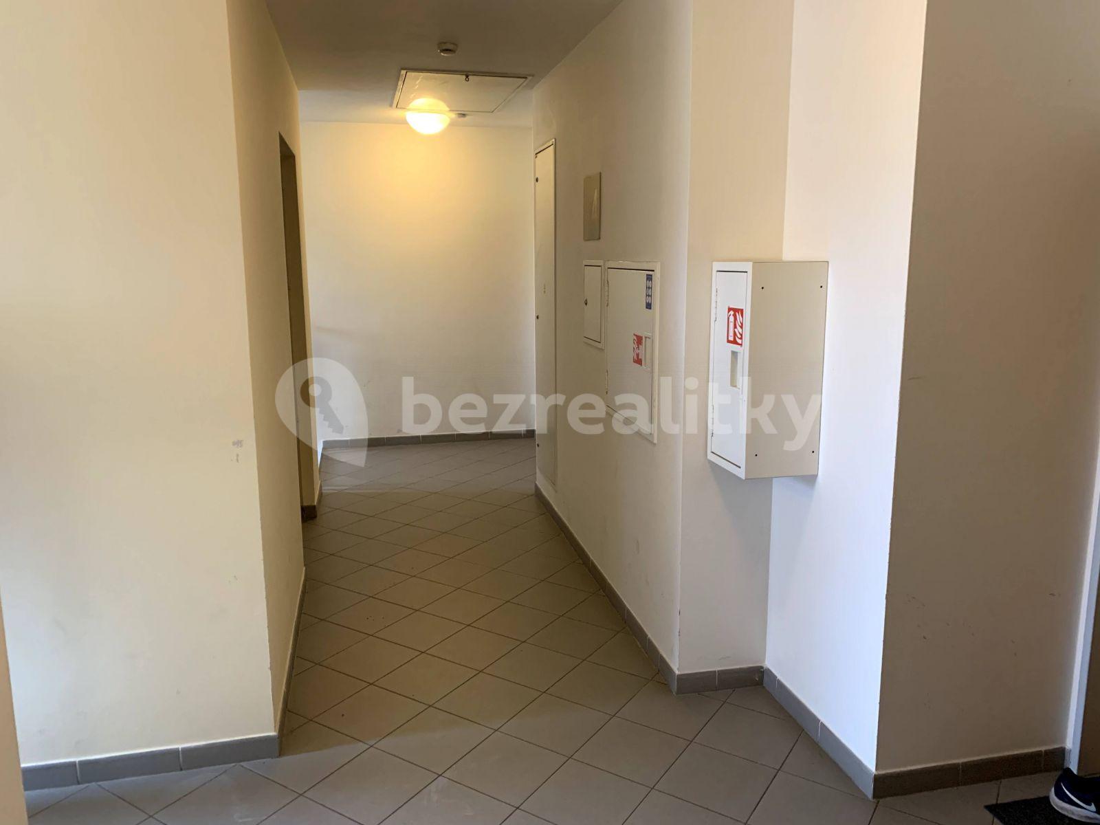 1 bedroom with open-plan kitchen flat to rent, 48 m², Budapešťská, Prague, Prague