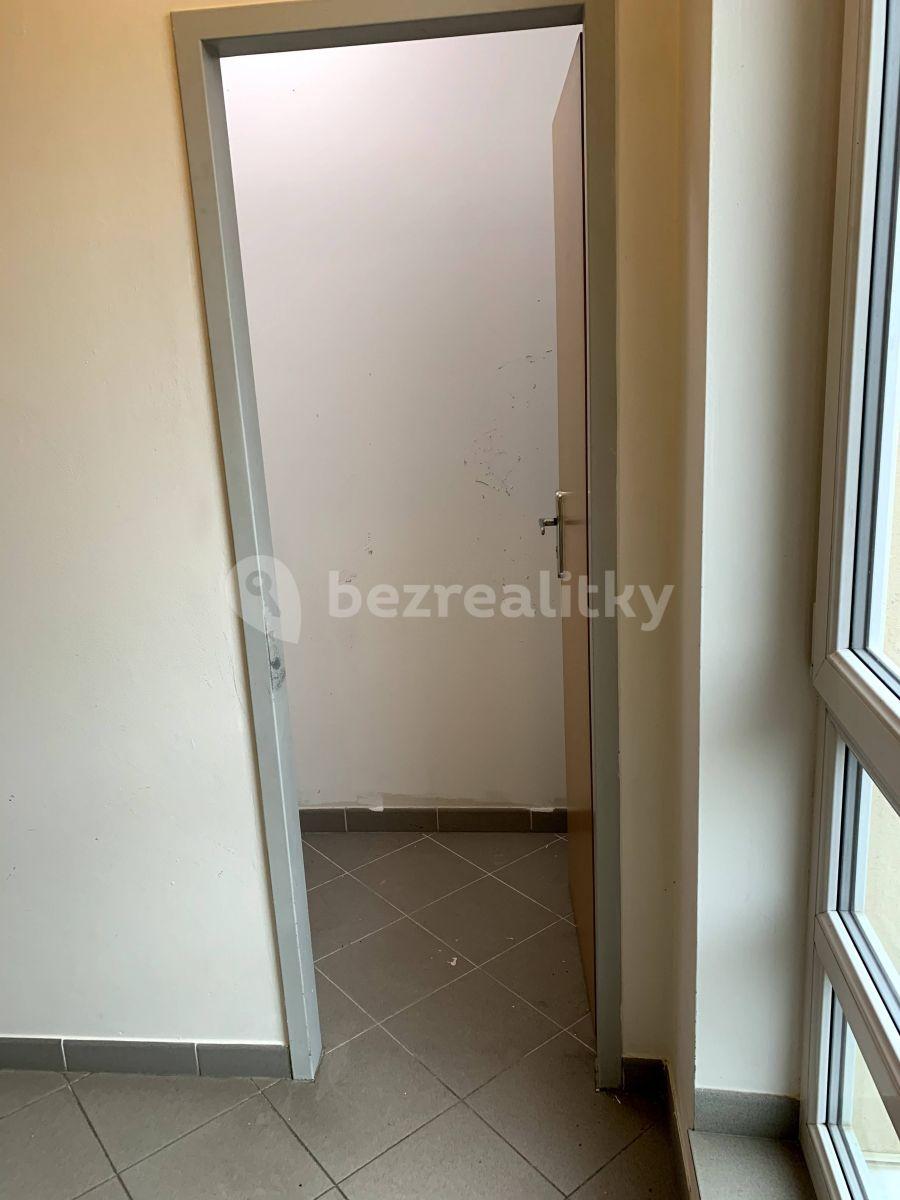 1 bedroom with open-plan kitchen flat to rent, 48 m², Budapešťská, Prague, Prague