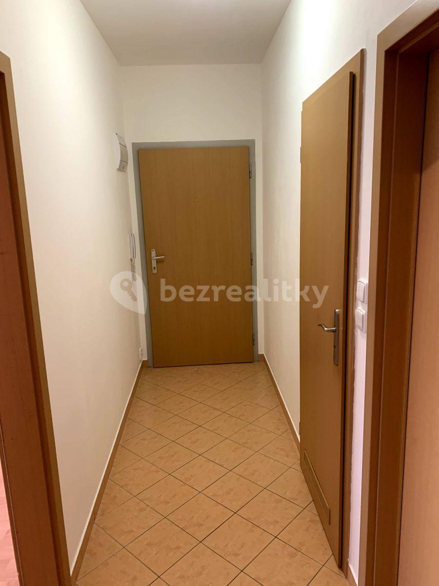 1 bedroom with open-plan kitchen flat to rent, 48 m², Budapešťská, Prague, Prague