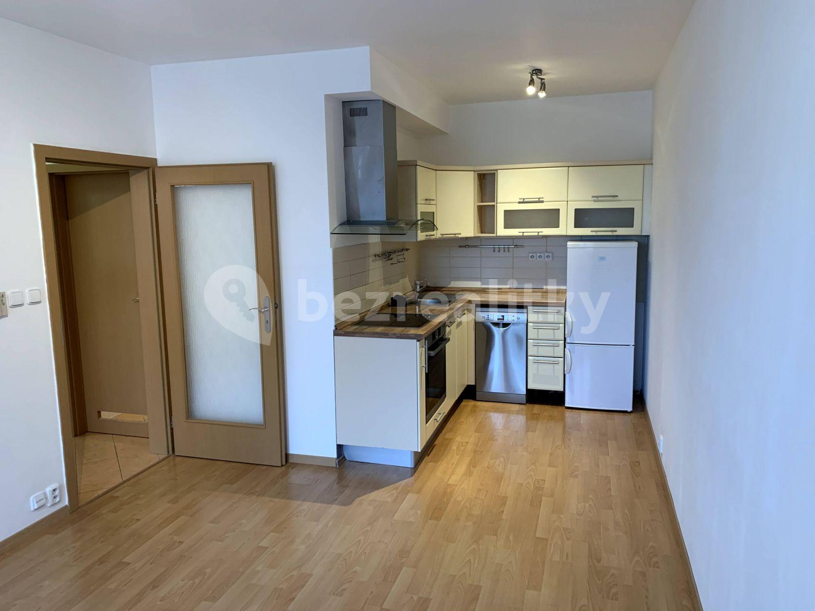 1 bedroom with open-plan kitchen flat to rent, 48 m², Budapešťská, Prague, Prague