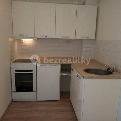 1 bedroom with open-plan kitchen flat to rent, 31 m², Osadní, Prague, Prague