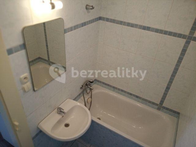 1 bedroom with open-plan kitchen flat to rent, 31 m², Osadní, Prague, Prague