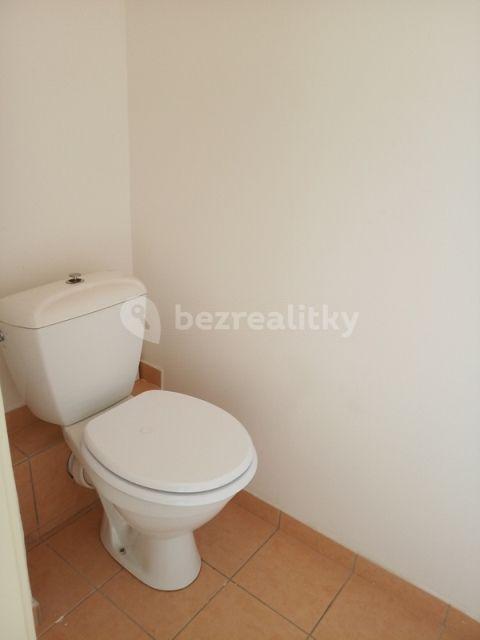 1 bedroom with open-plan kitchen flat to rent, 31 m², Osadní, Prague, Prague