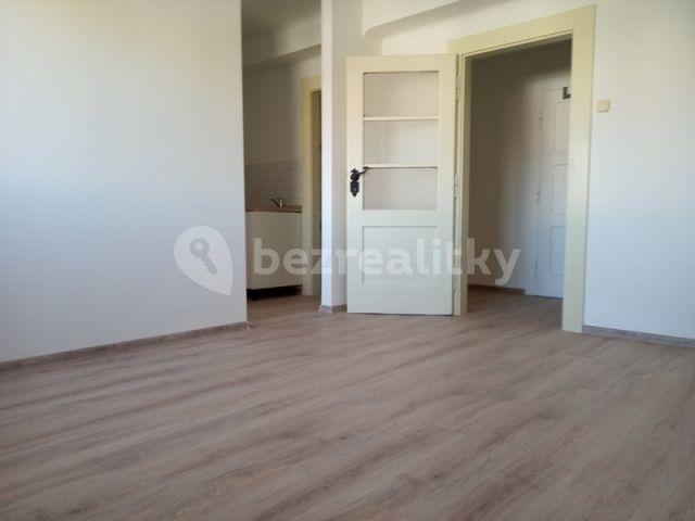 1 bedroom with open-plan kitchen flat to rent, 31 m², Osadní, Prague, Prague